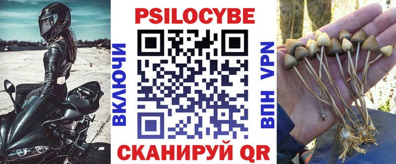 darknet официальный сайт  купить наркотики сайты  Спас-Деменск  Галлюциногенные грибы Psilocybine cubensis 